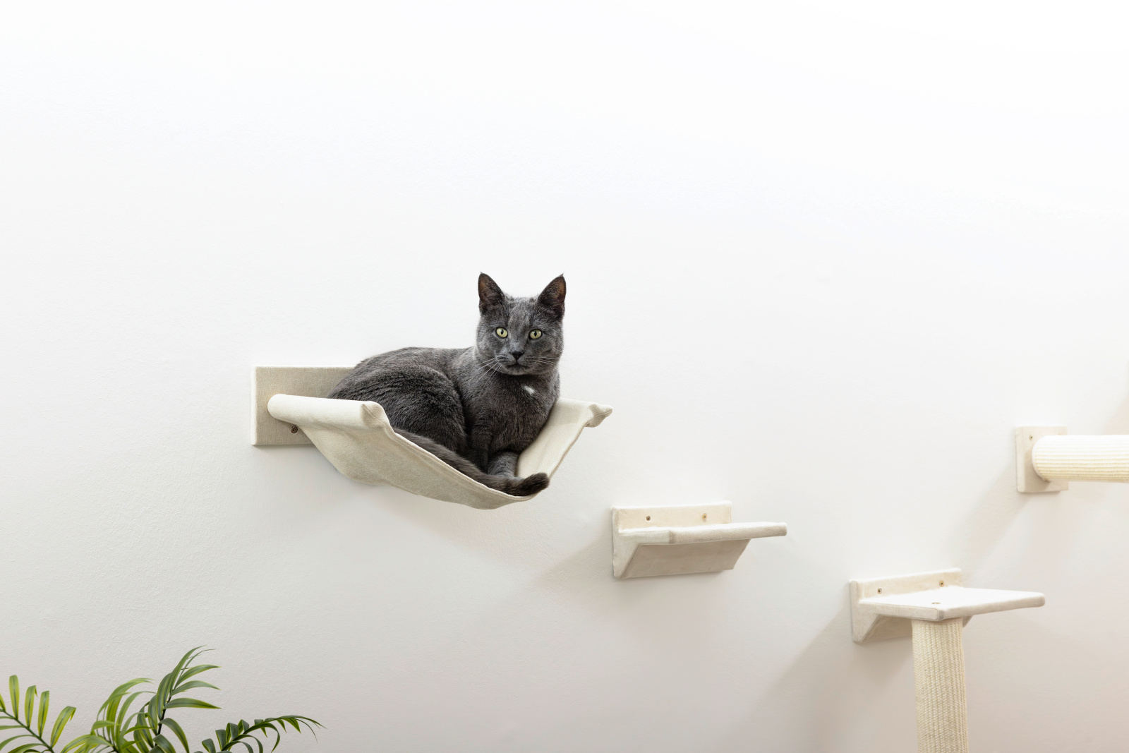 Kerbl Pet Monte Falco palestra parete gatto 10 pezzi
