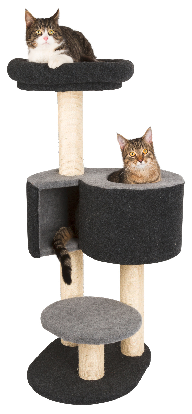 Kerbl Pet Fridolin albero tiragraffi gatto feltro cuccia