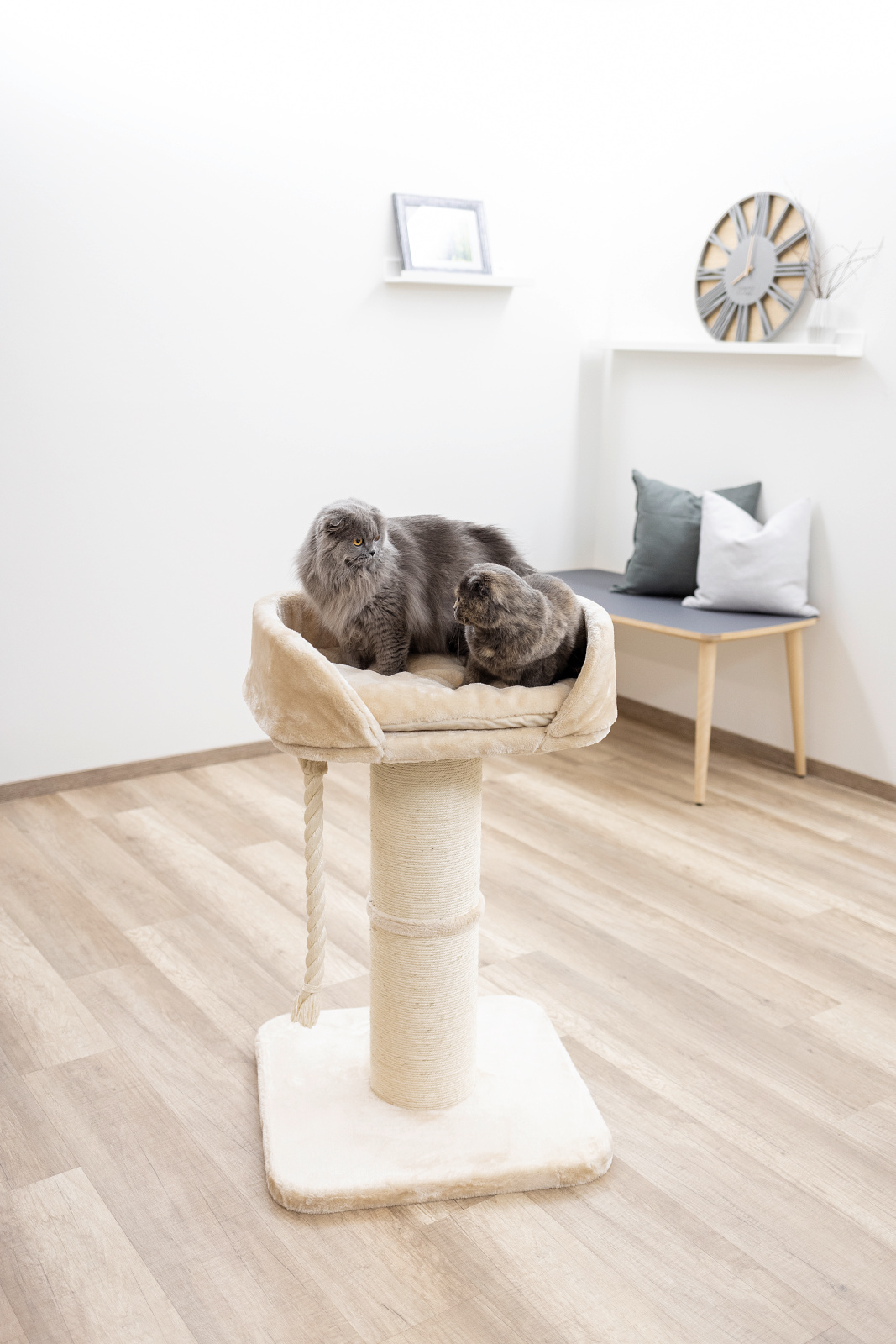 Kerbl Pet Toni XL Cat Tree tiragraffi gatto grande colonna sisal