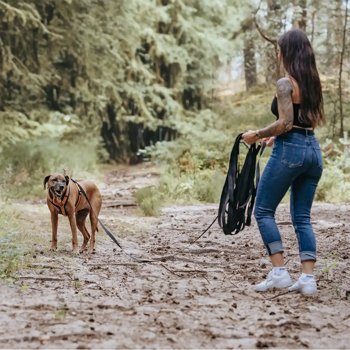 Rudelkönig lunghina cane stoffa nero 5 m addestramento