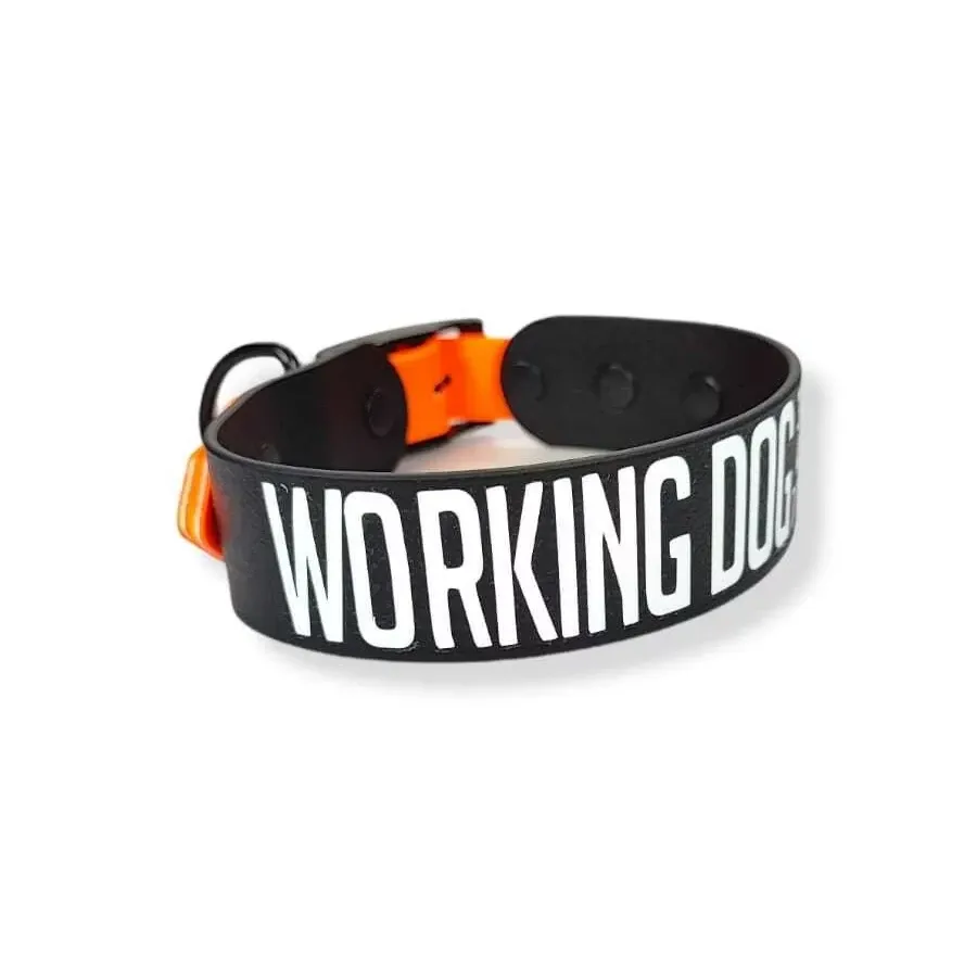 Toscani Waterproof Collare Cane Personalizzato con Nome
