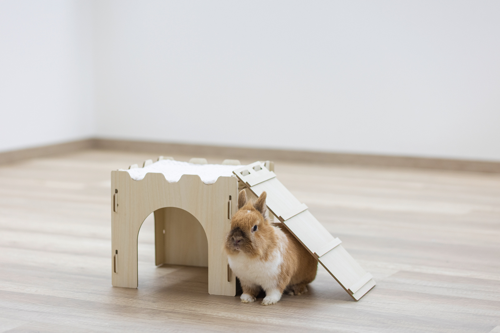 Kerbl Rodent Castle Casetta Roditori Legno con Rampa Cuscino