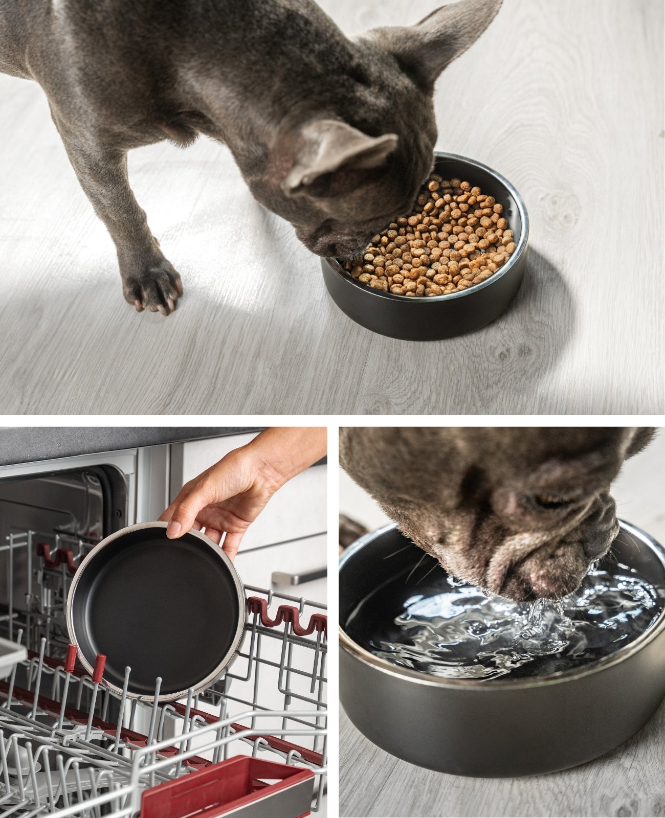 Lionto Hundenäpfe ciotola cane acciaio inox 825 ml antiscivolo nera