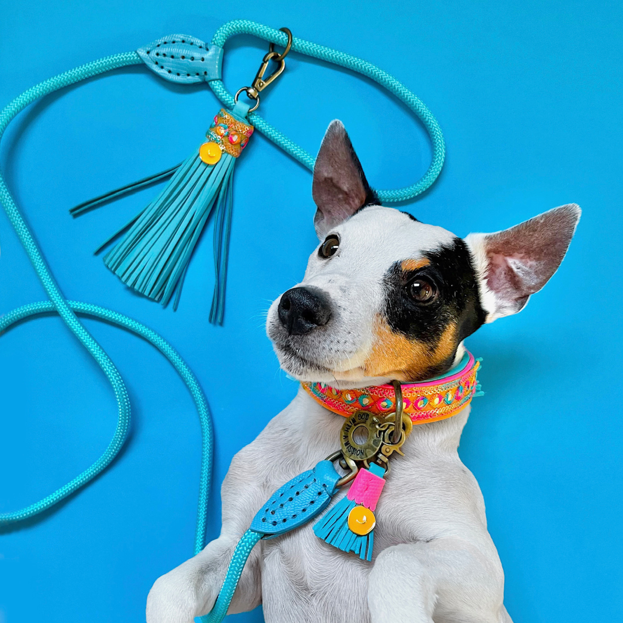 Dog with a Mission Classic Pacific Guinzaglio S Blu 155 cm