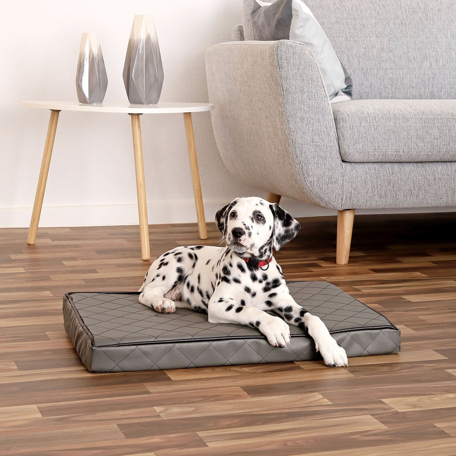 Lionto Hundematte 80x55 cm materassino ortopedico cani memory