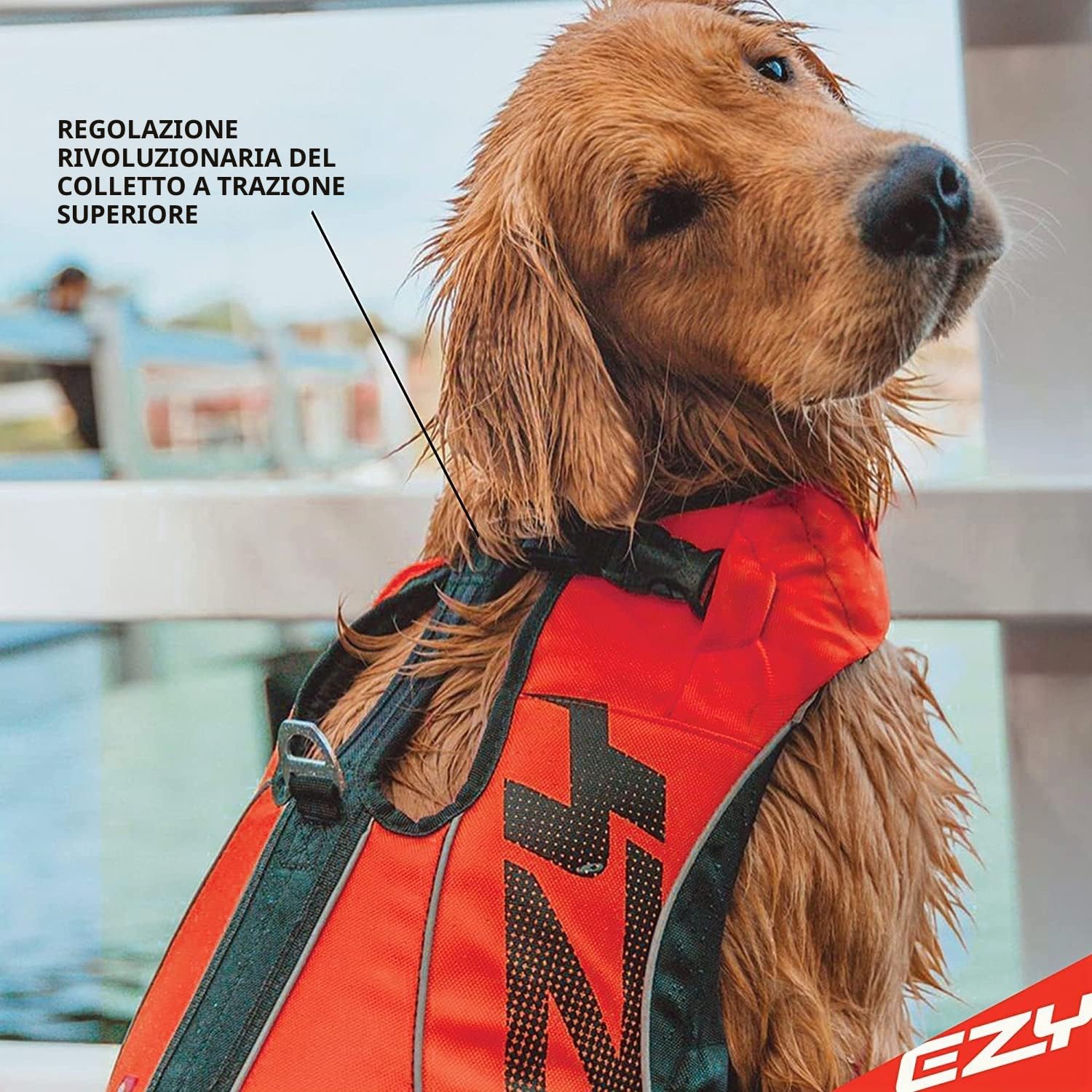EzyDog DFD X2 Premium giubbotto salvagente cane L giallo