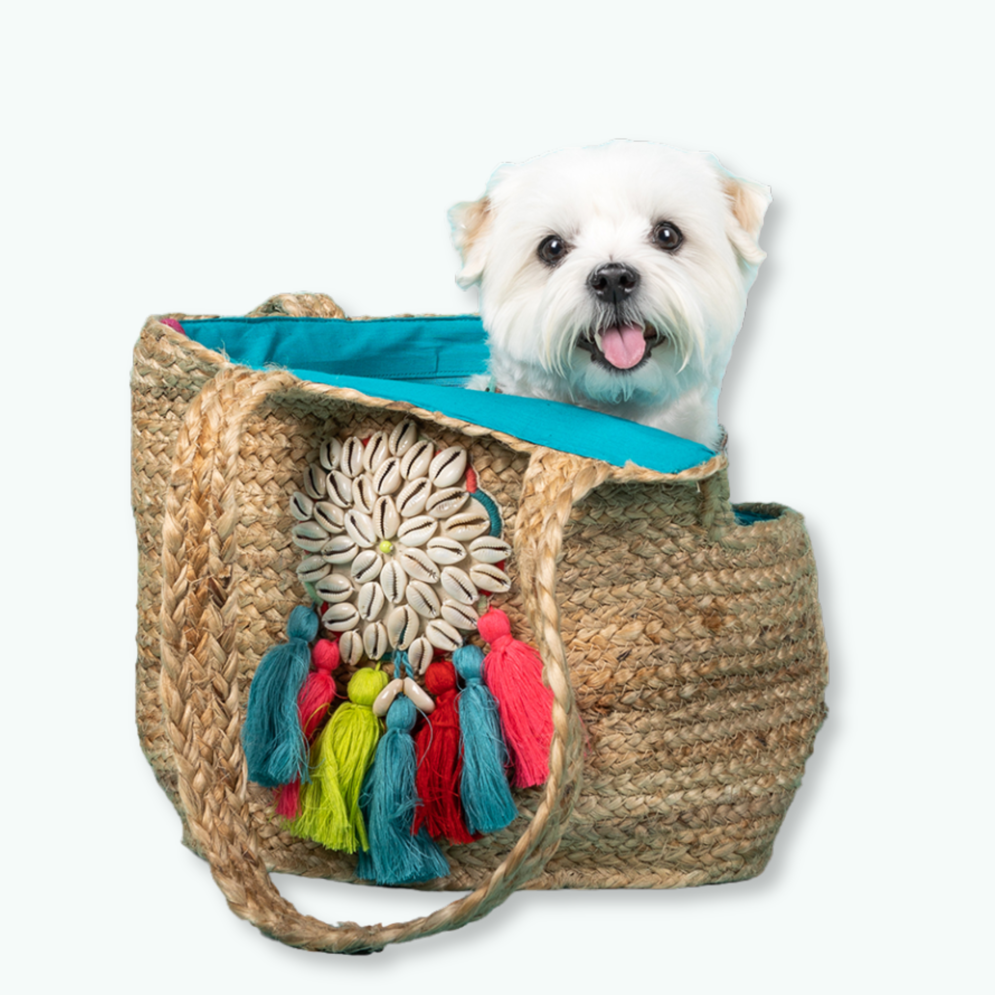 Dog with a Mission Woodstock Borsa Cane 3 kg Spiaggia