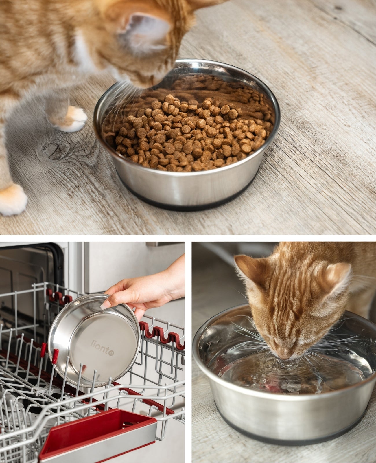 Lionto Katzennäpfe ciotola acciaio 600 ml antiscivolo