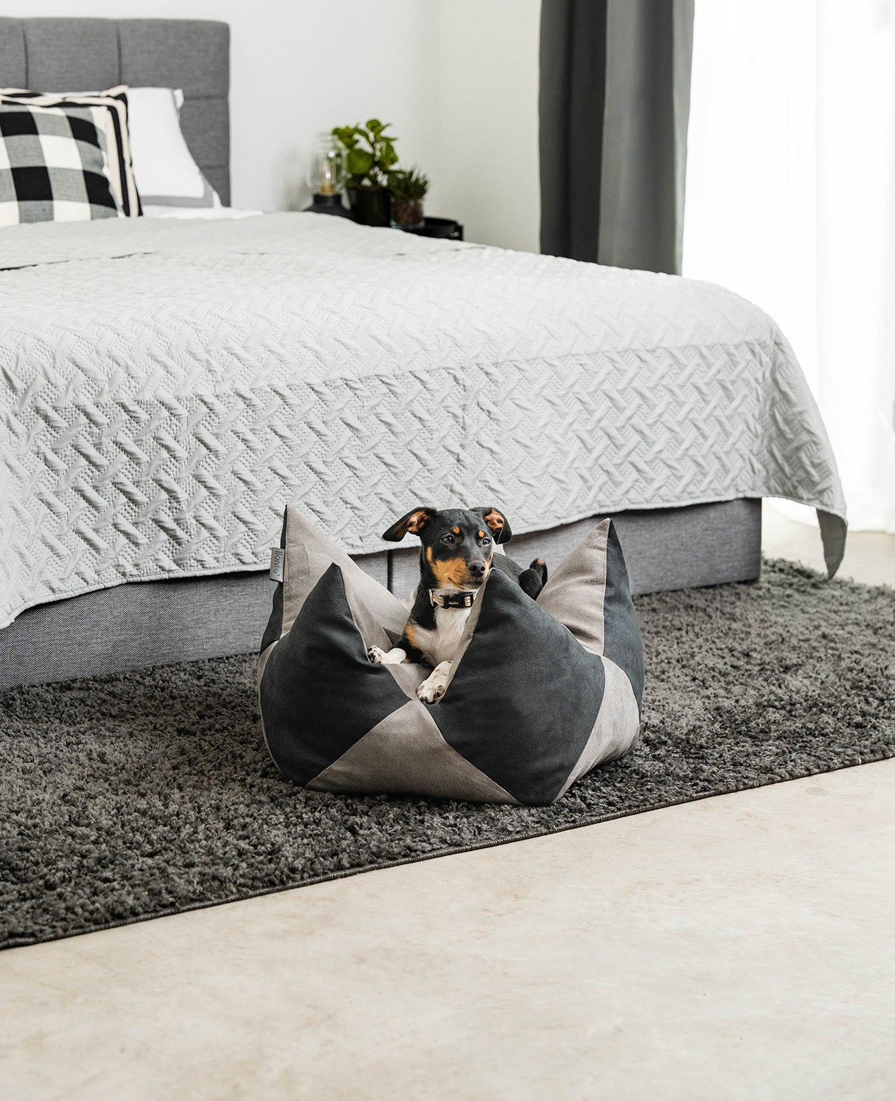 Lionto Hundebetten cuccia corona 60x35 cm grigio antiscivolo