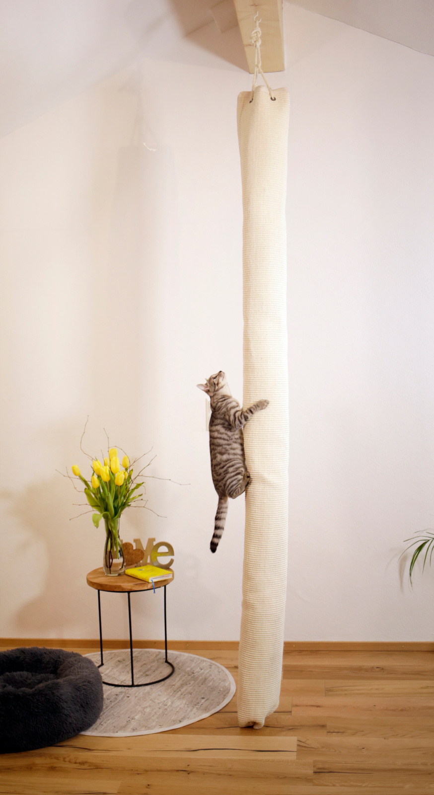 Kerbl Pet Climbing Bag Climber Sacco arrampicata gatti sisal