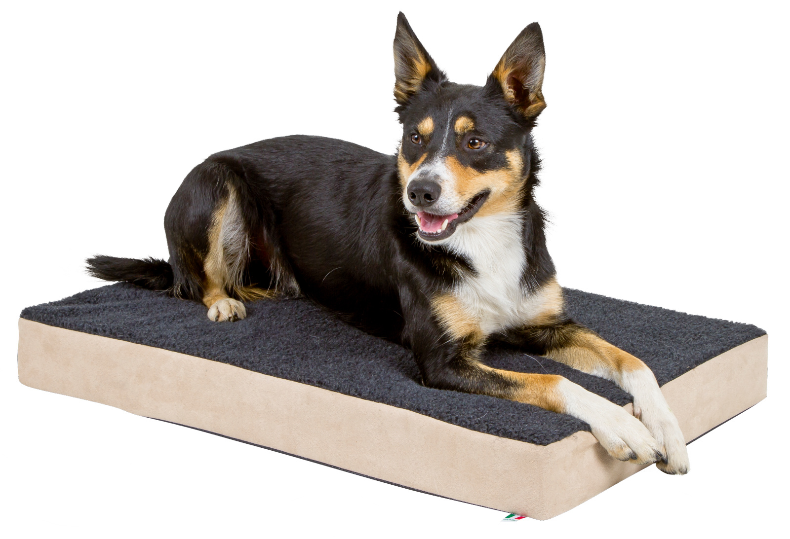 Kerbl Pet Memory-Foam materasso cane ortopedico memory