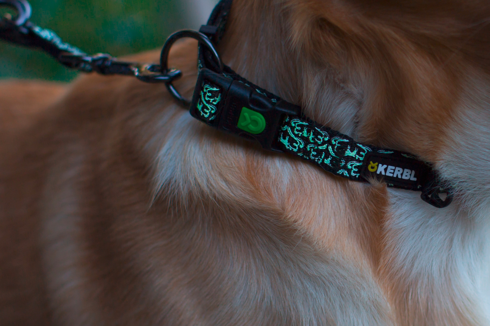 Kerbl Pet Shiny Night Collare Cane Nylon Riflettente