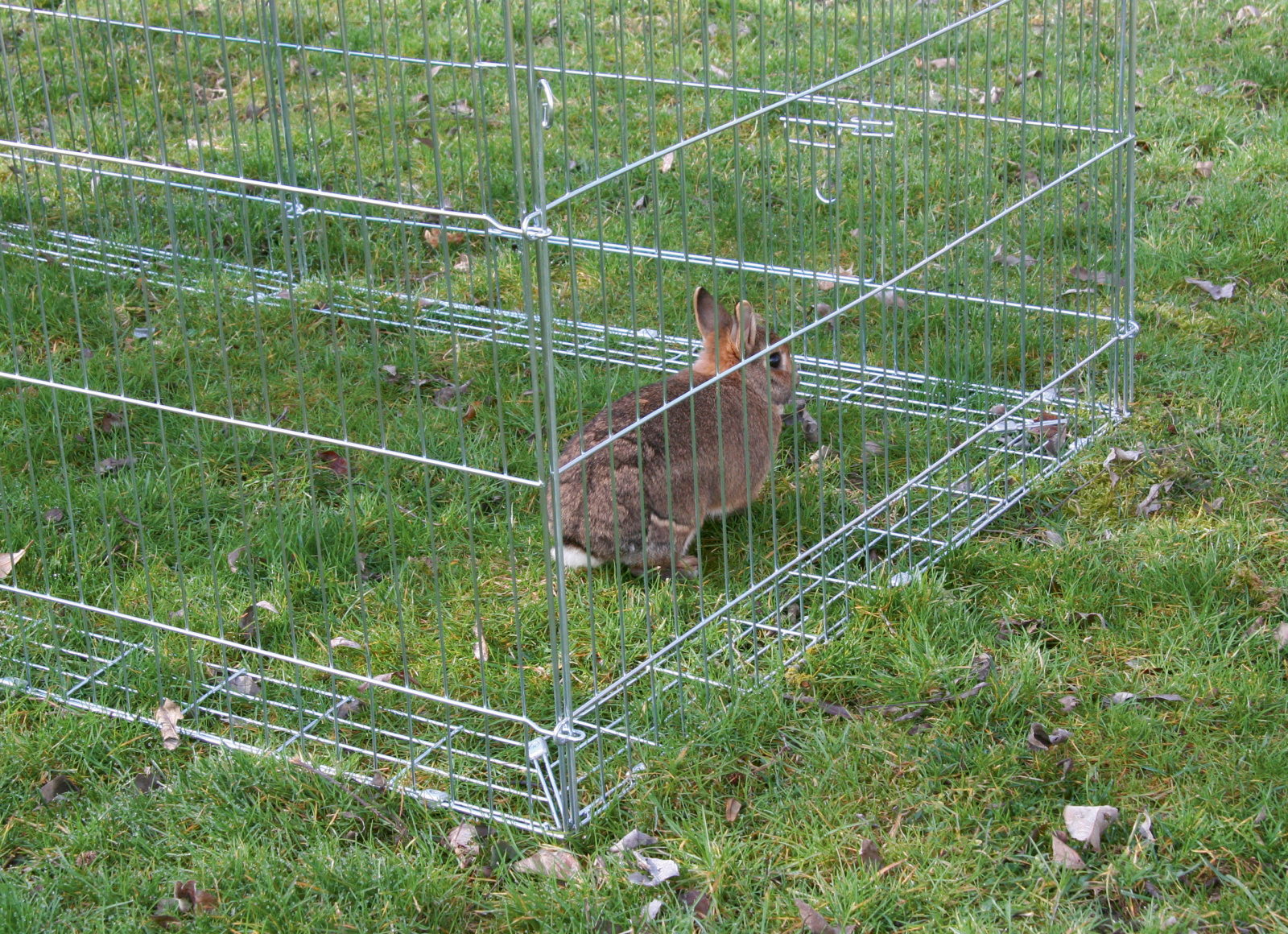 Kerbl Pet Break-out Guard barriera anti-fuga roditori