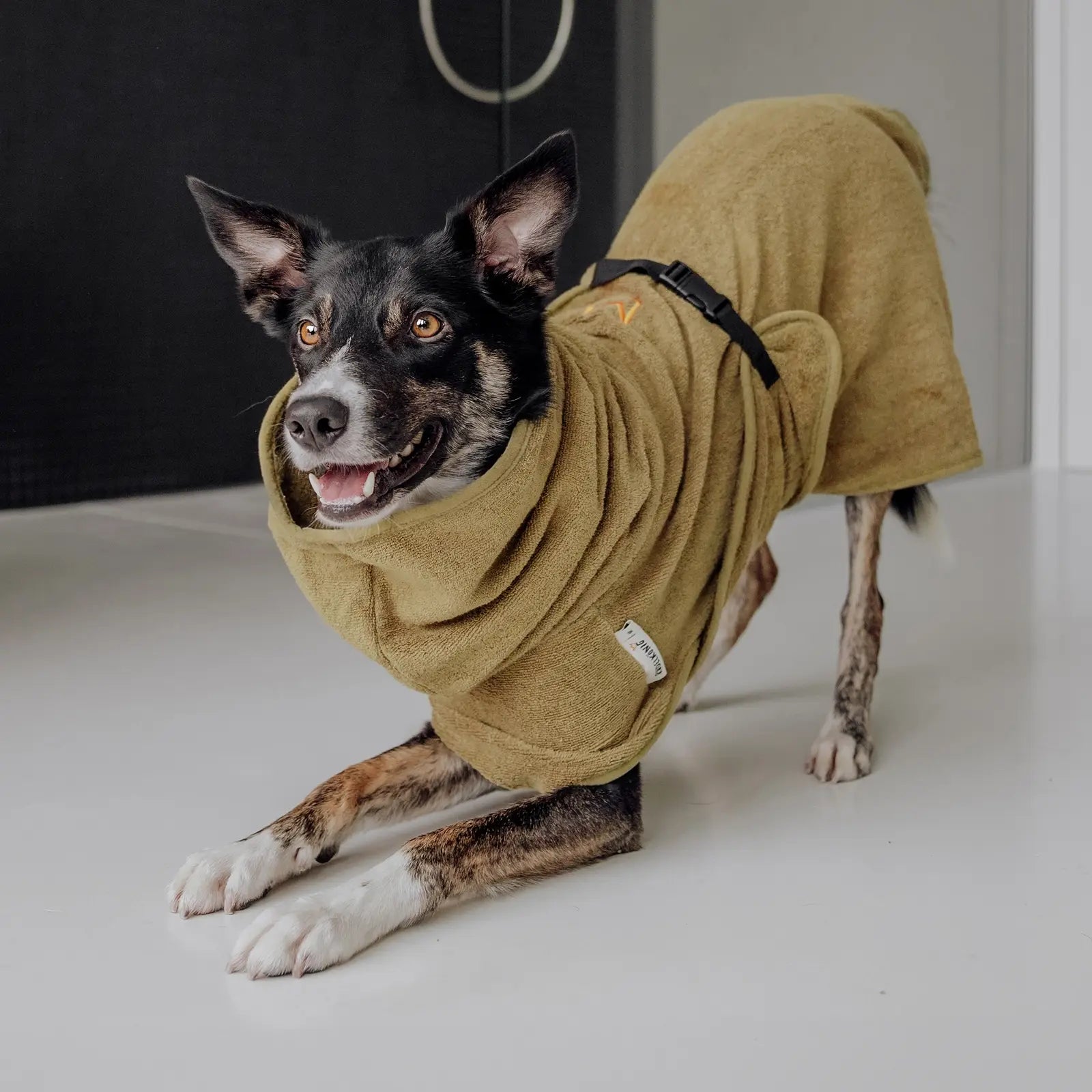 Rudelkönig Hundepflege accappatoio cane cotone khaki L