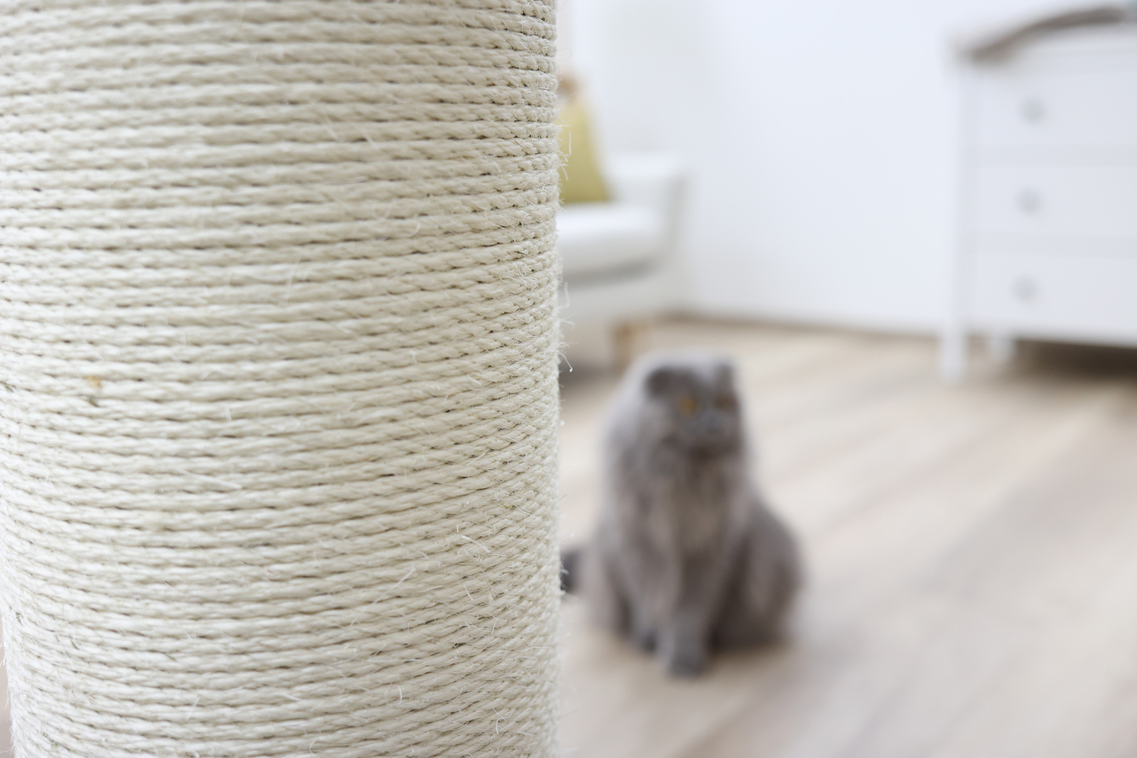 Kerbl Pet Opal Ultra tiragraffi colonna gatto sisal naturale