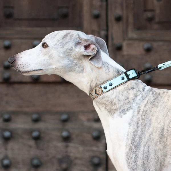 Toscani Edizioni speciali collare cane Indy geometrico