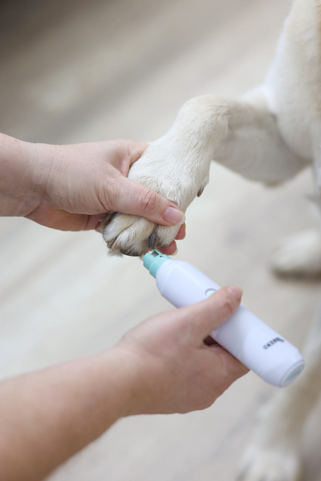 Kerbl Pet Nail File lima elettrica unghie cani e gatti USB