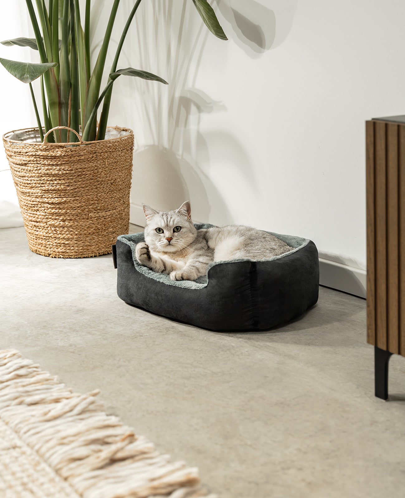 Lionto Katzenbettchen letto gatto marrone 60x48 cm morbido