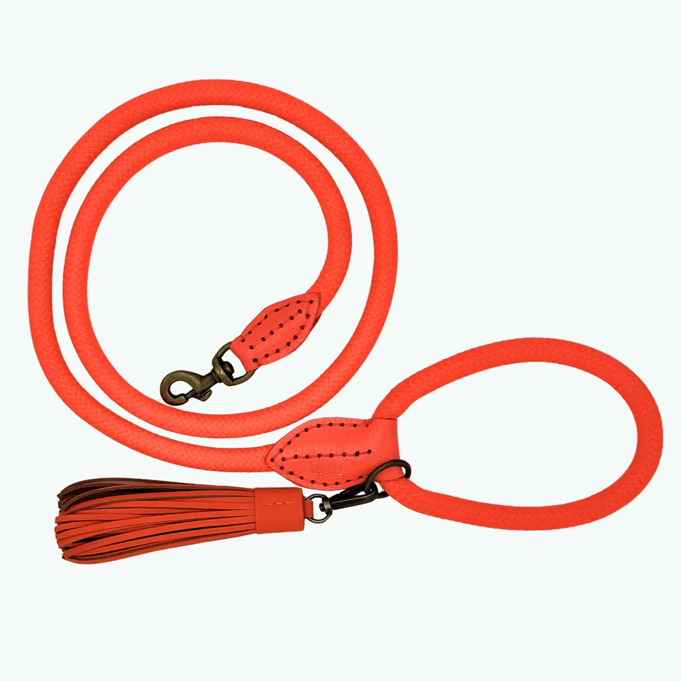 Dog with a Mission Classic Sunset guinzaglio cane L arancio 155 cm