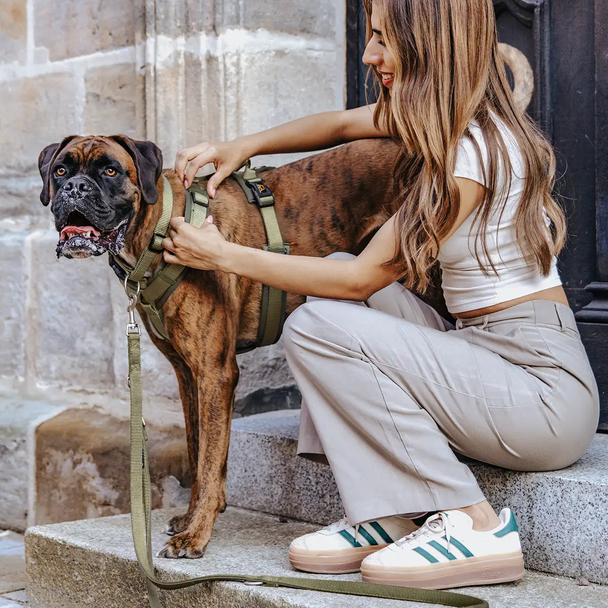Rudelkönig Bella Set Cane Khaki Guinzaglio Pettorina Collare