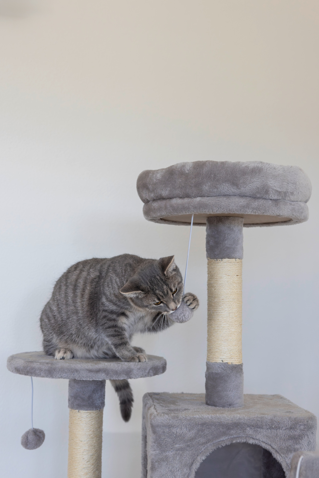 Kerbl Pet Levi tiragraffi gatto due cucce grotta sisal