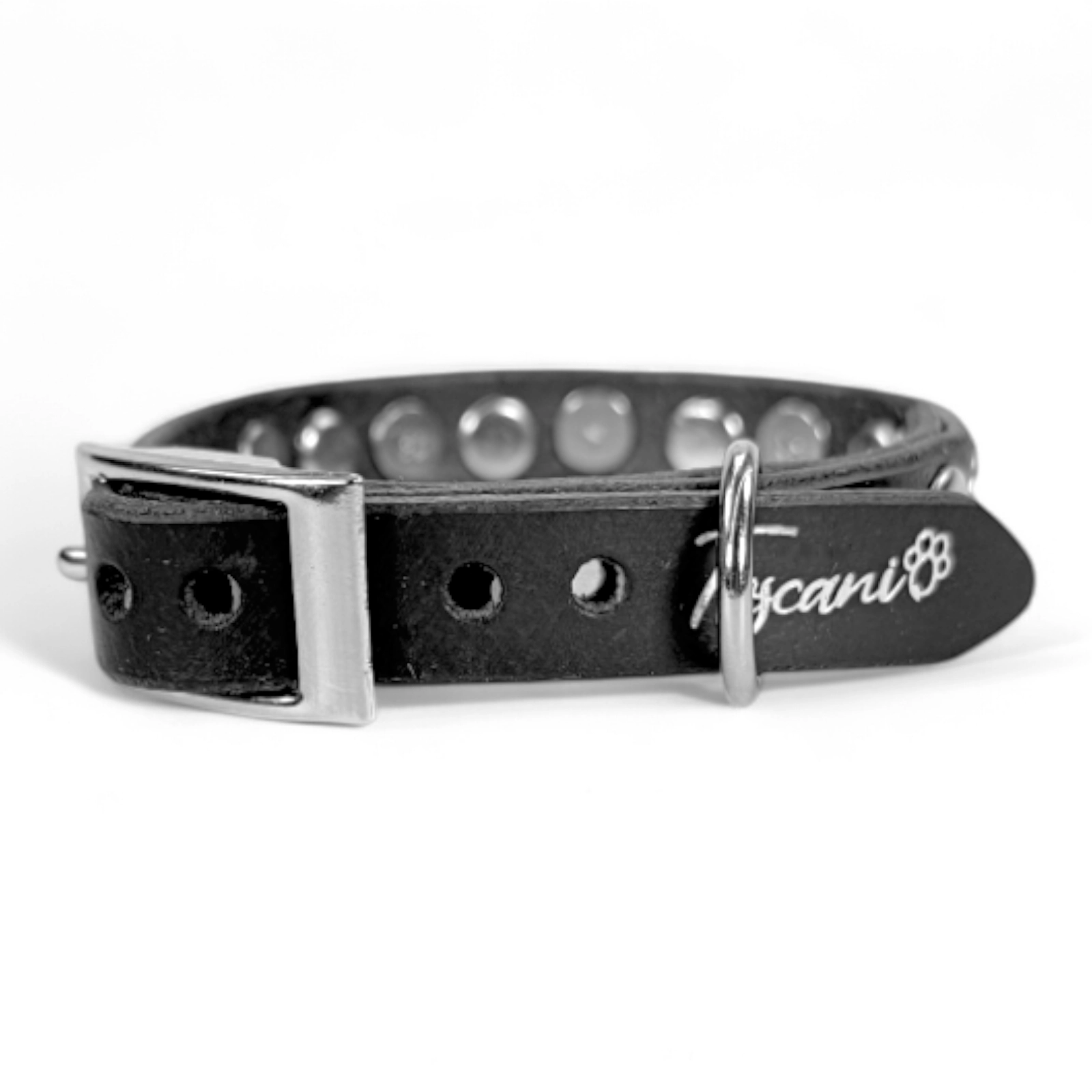 Toscani Cuoio Glamour Rock Collare Pelle Nera Piccola Taglia