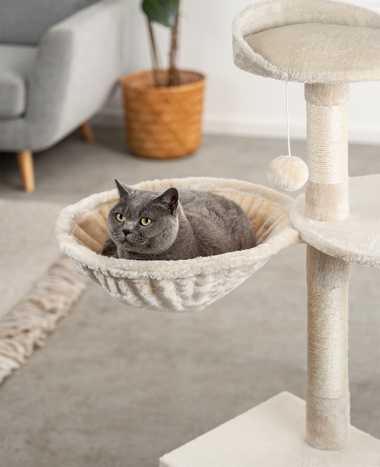Lionto Katzenkratzbäume amaca gatti beige 40 cm profondità 25 cm