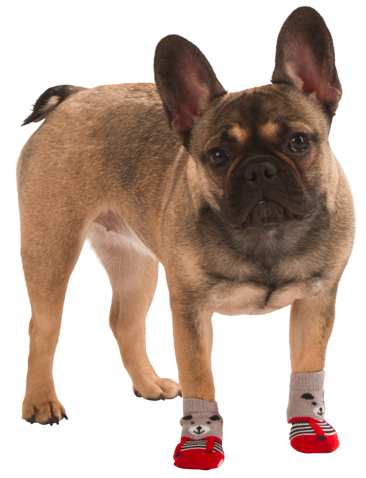 Kerbl Pet Dog Clothing Dog Socks Bruno calzini cotone