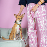 Dog with a Mission Bonnie guinzaglio cane bordeaux S 155 cm