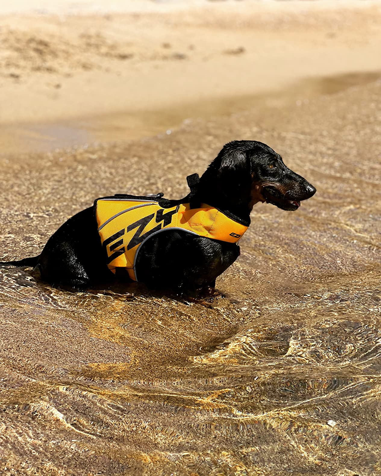 EzyDog DFD X2 Premium giubbotto salvagente cane L giallo