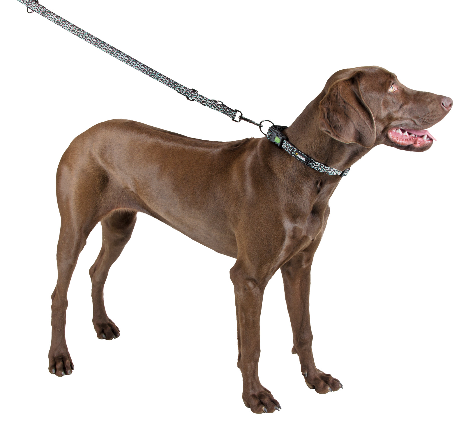 Kerbl Pet Shiny Night Collare Cane Nylon Riflettente