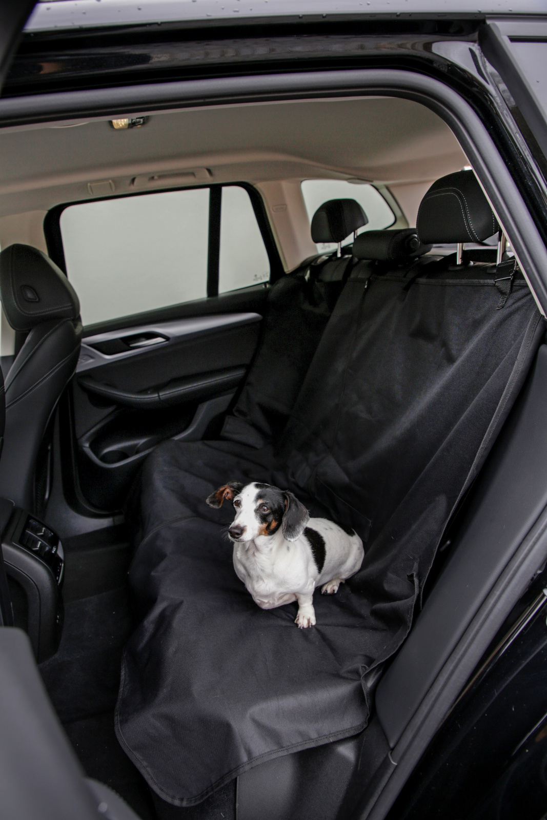 Kerbl Pet Dog Home Protective Rug coprisedile auto poliestere