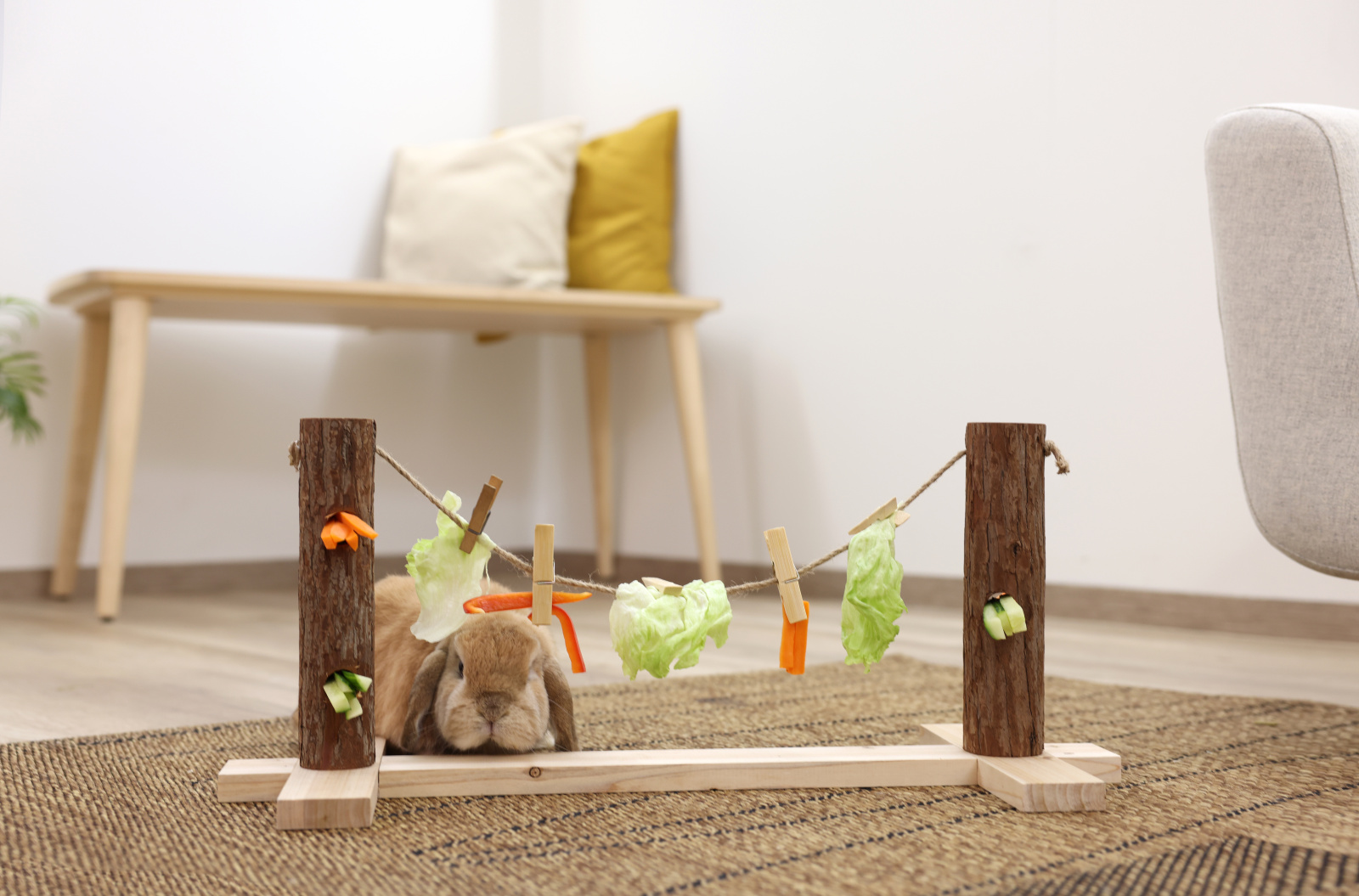 Kerbl Pet Feeding Line gioco alimentazione conigli e roditori