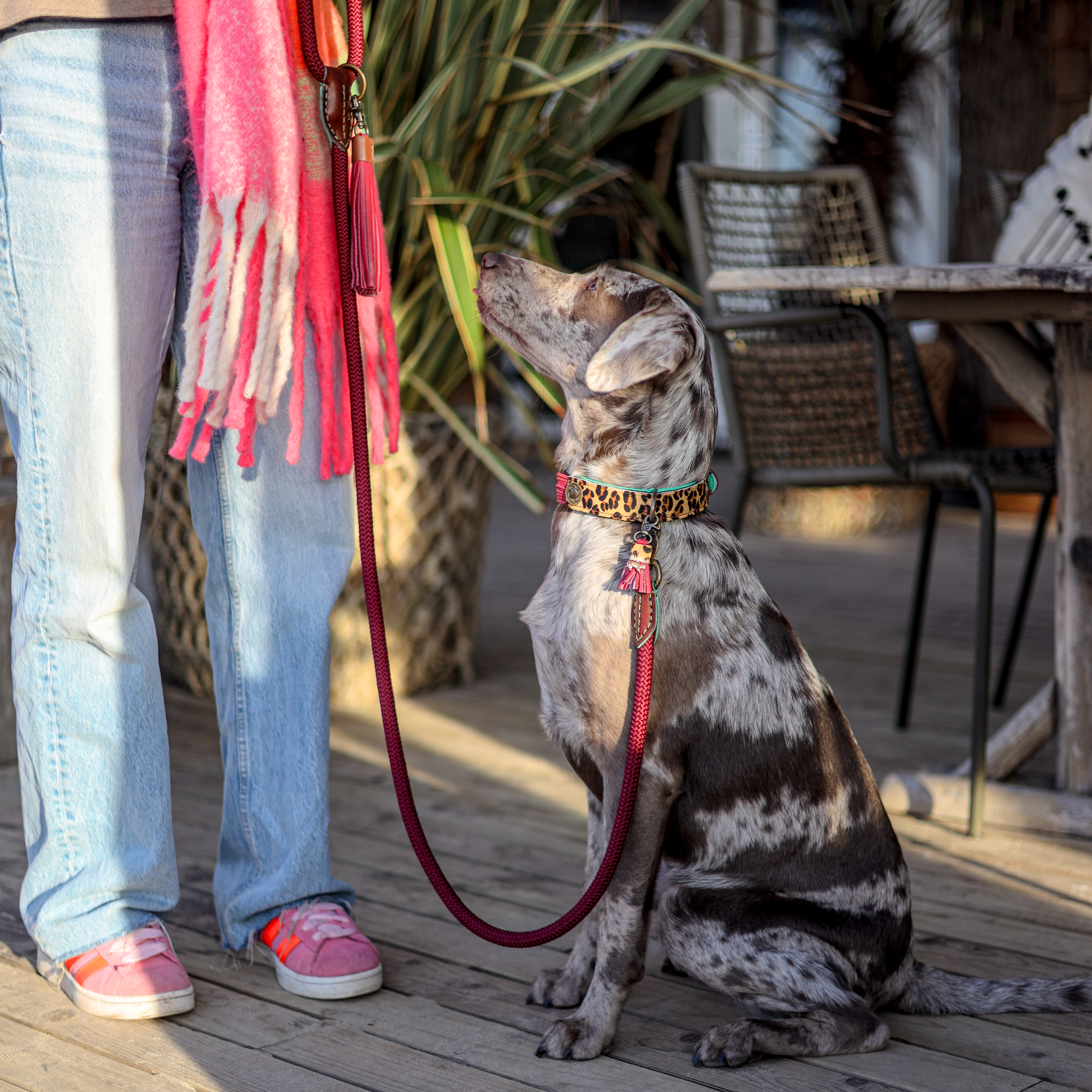 Dog with a Mission Bonnie guinzaglio cane L 155 cm bordeaux