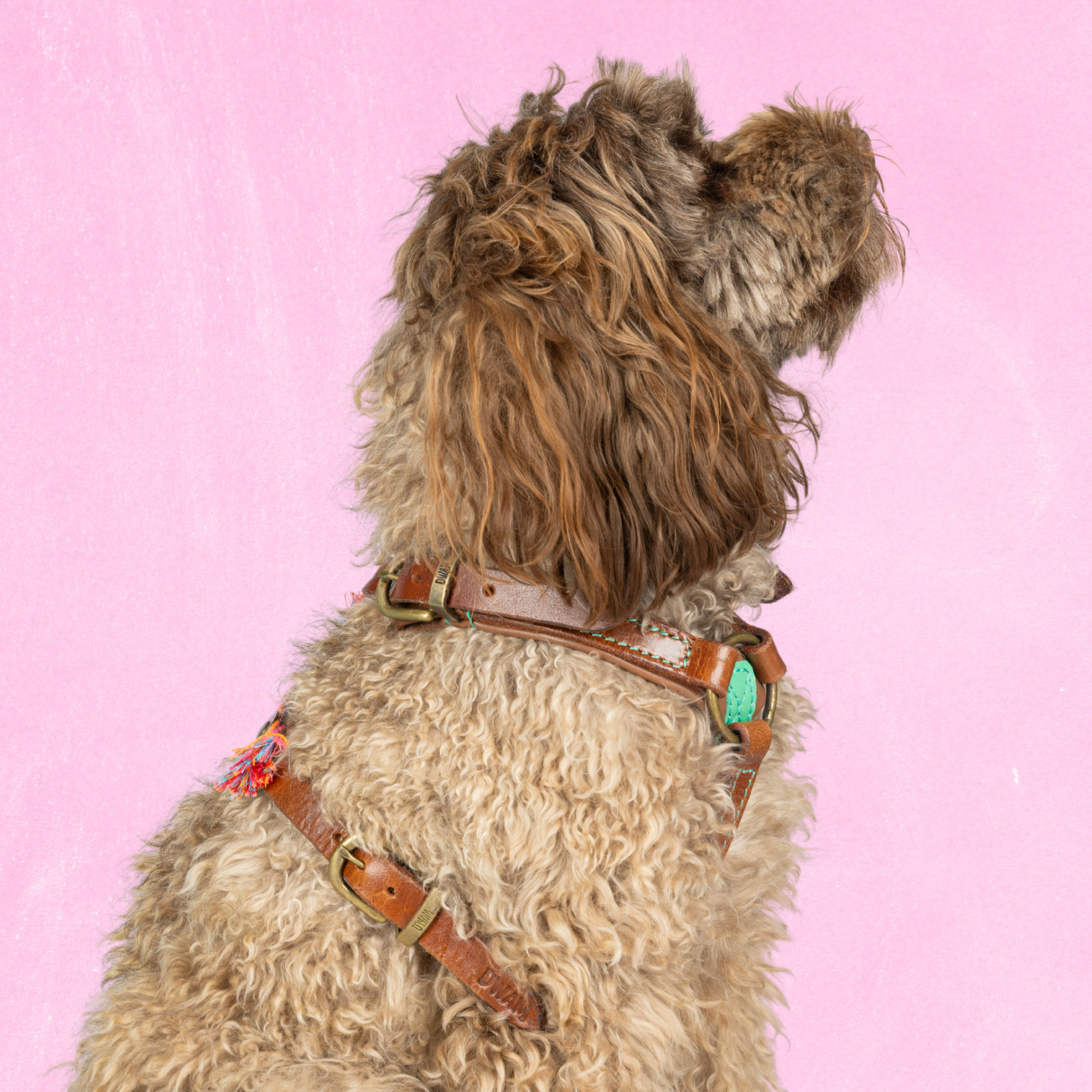 Dog with a Mission Boho Rosa Pettorina Cane XS Rosa 35,5-44cm