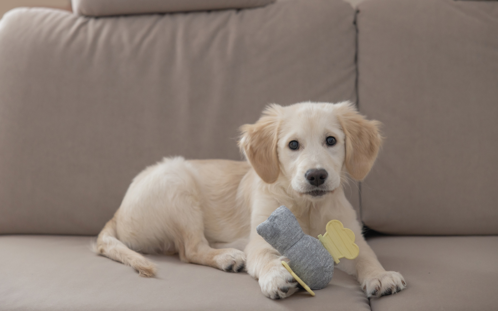 Kerbl Pet Puppy Toy peluche cucciolo morbido con sonaglio