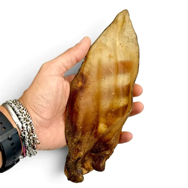 Toscani Snack orecchie manzo essiccate 20-30 cm naturali