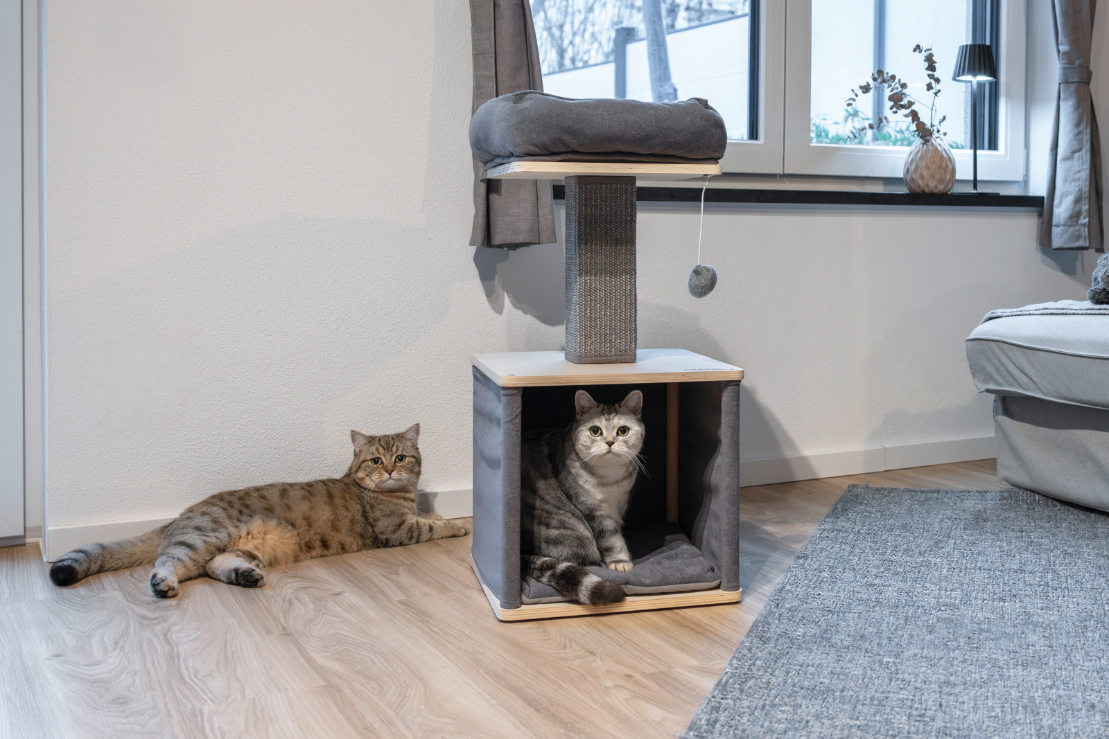 Kerbl Cat Scratch Noah II Tiragraffi Gatto Cuccia e Grotta