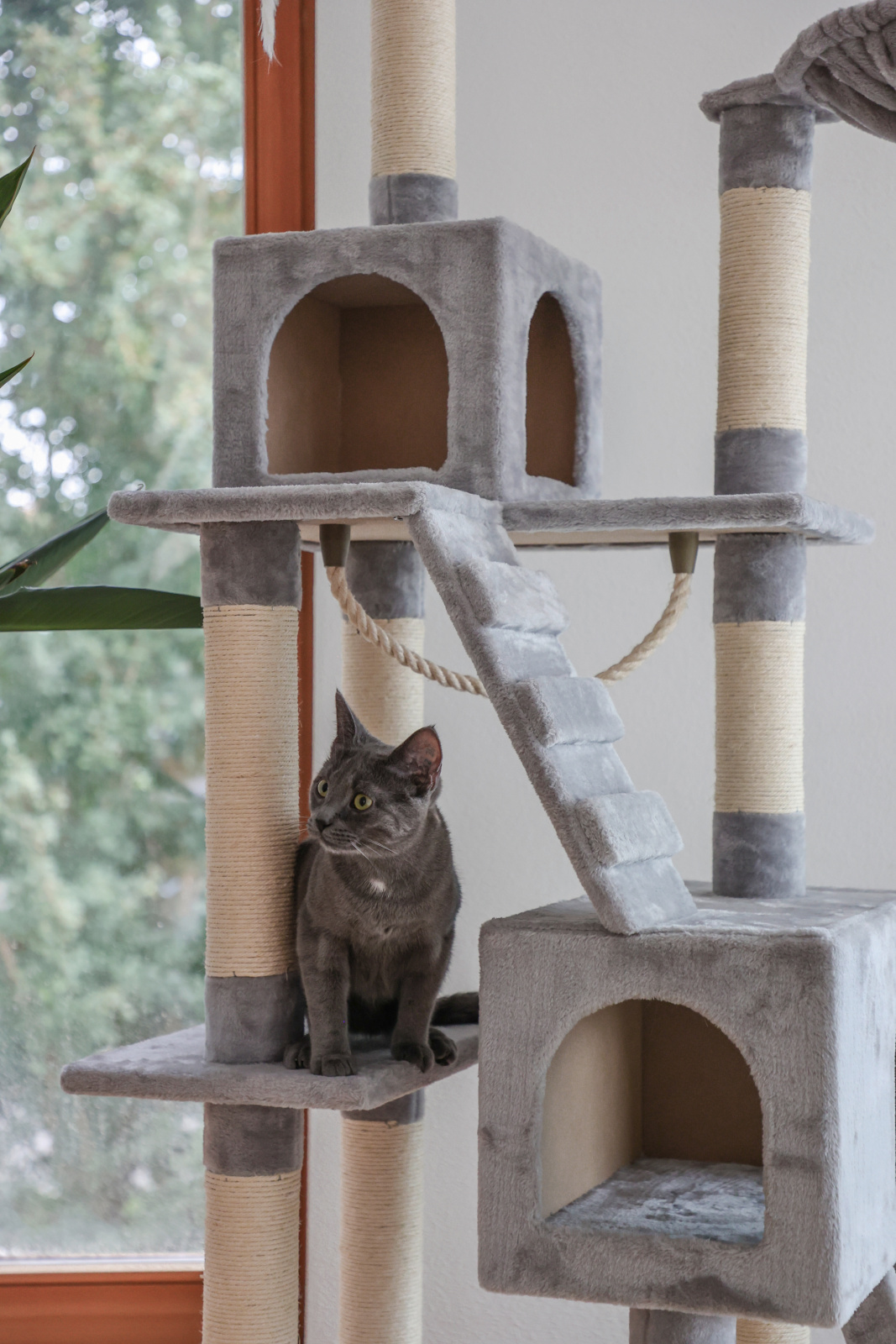 Kerbl Pet Square Albero Tiragraffi Gatto Sisal Multilivello