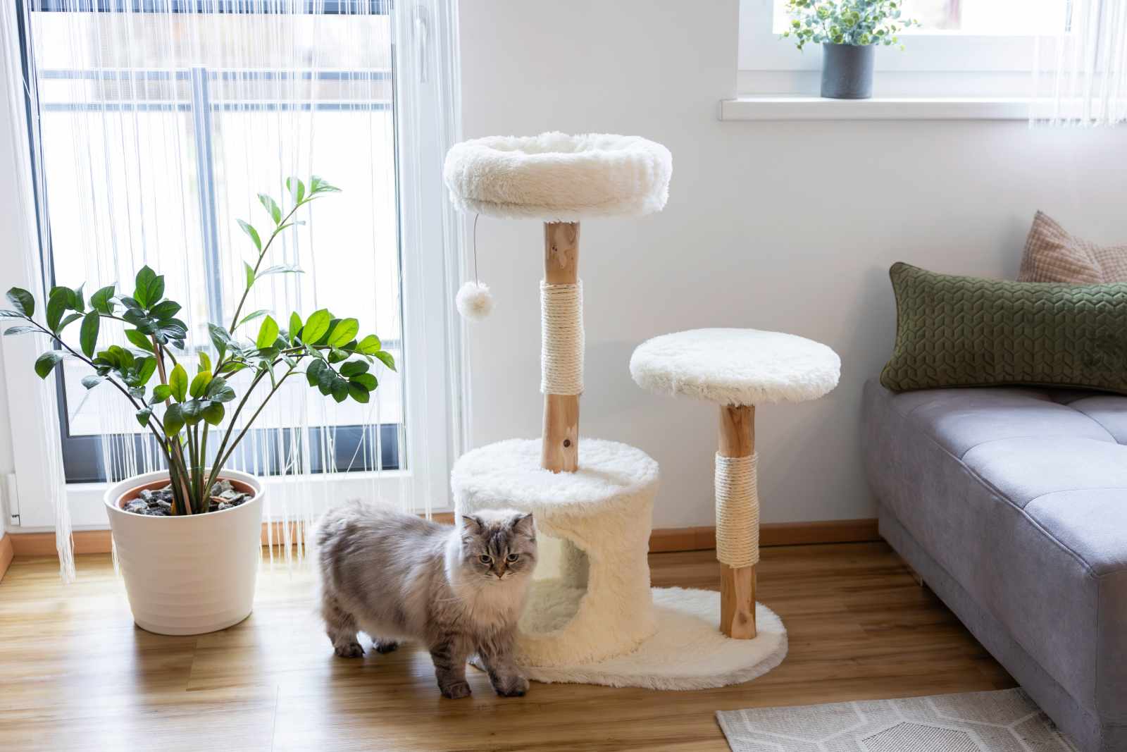 Kerbl Cat Scratch Lucia albero tiragraffi legno sisal con cuccia