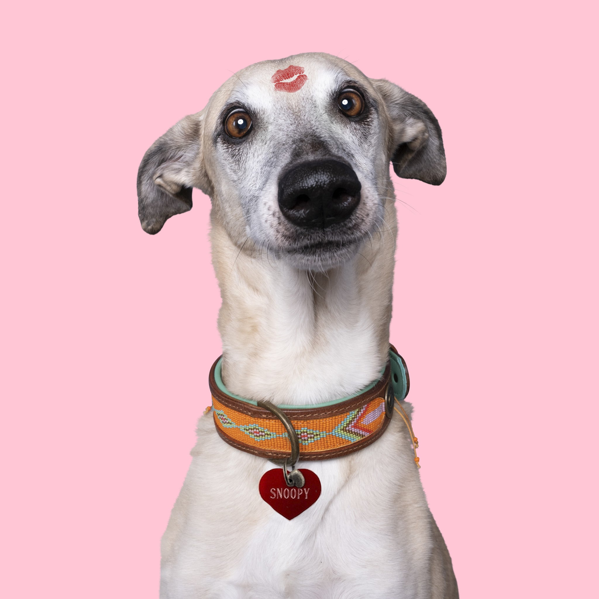 Dog with a Mission Hartje L medaglietta cane cuore rosa incisa
