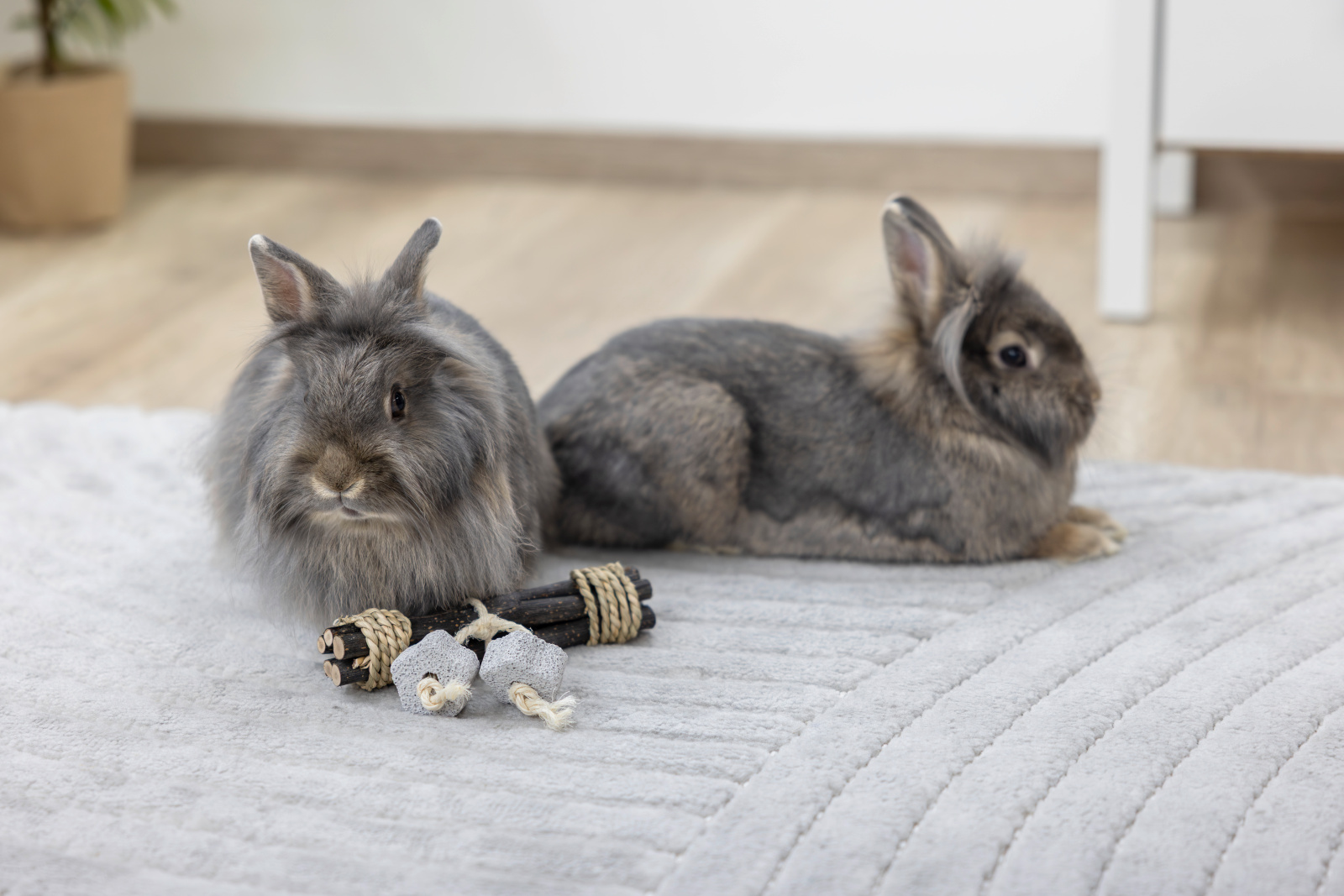 Kerbl Pet Play legno rosicchiare conigli con pietra lavica