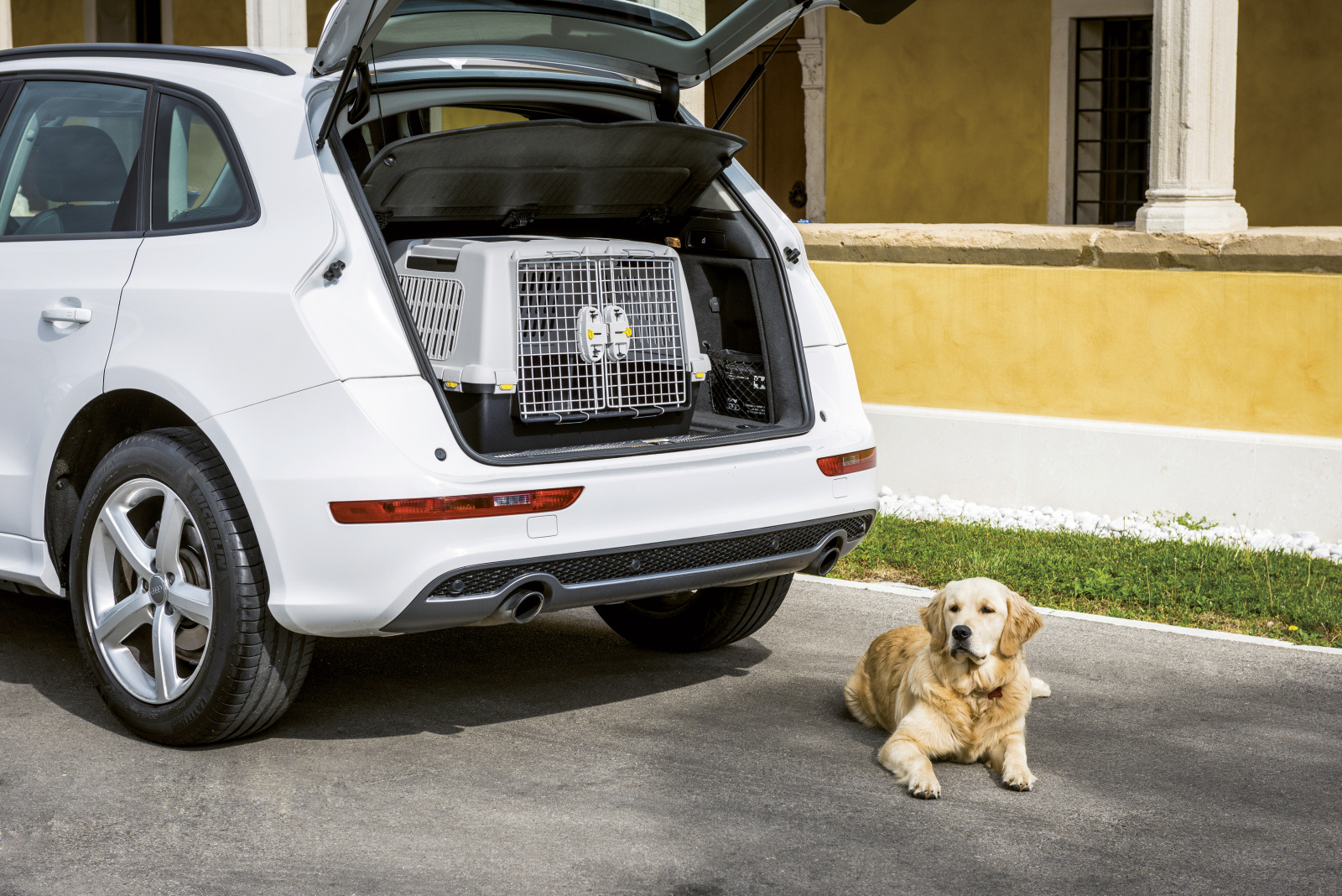 Kerbl Dog Transport Gulliver Touring trasportino porta metallo