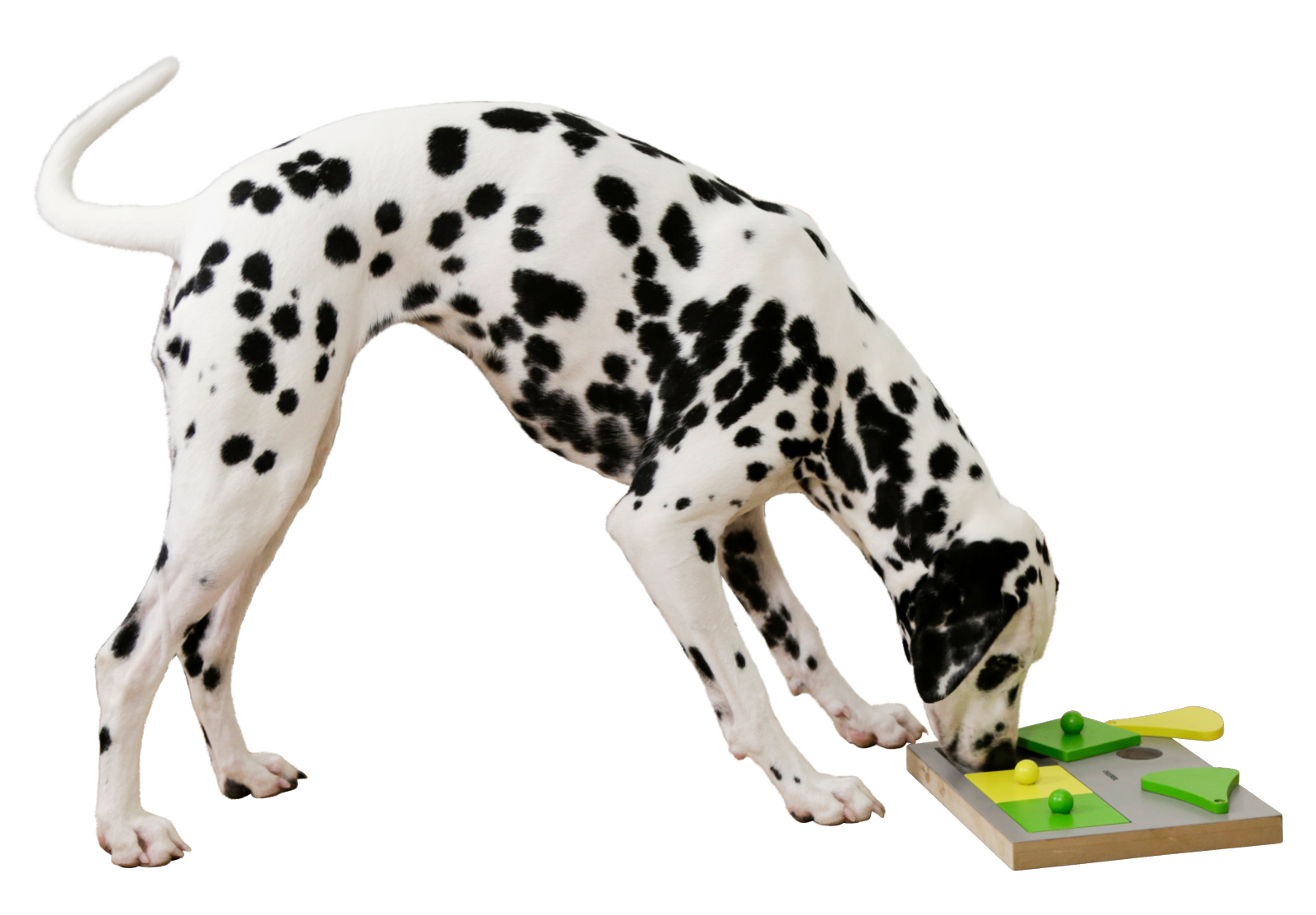 Kerbl Pet Dog Toy Torta Thinking and Learning Toy gioco cane legno facile