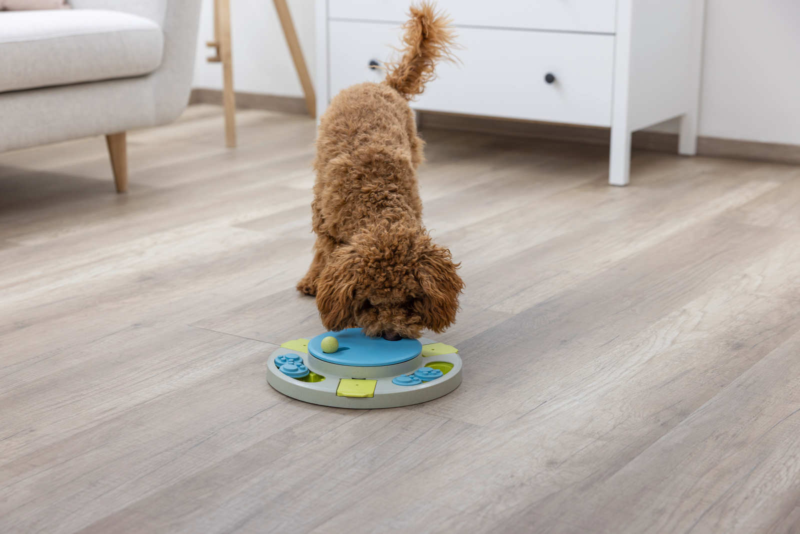 Kerbl Pet Turnley gioco intelligenza cane e gatto con snack