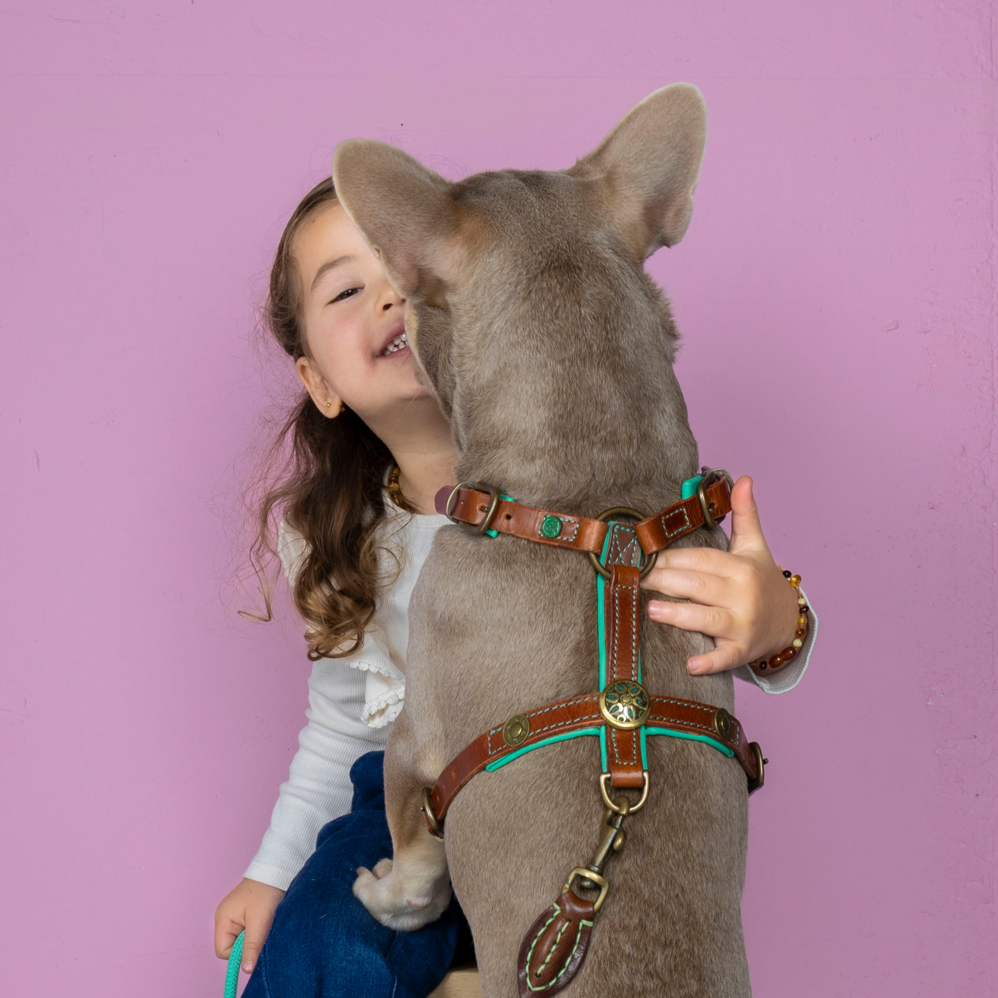 Dog with a Mission Rock pettorina pelle S marrone 45,5-58 cm