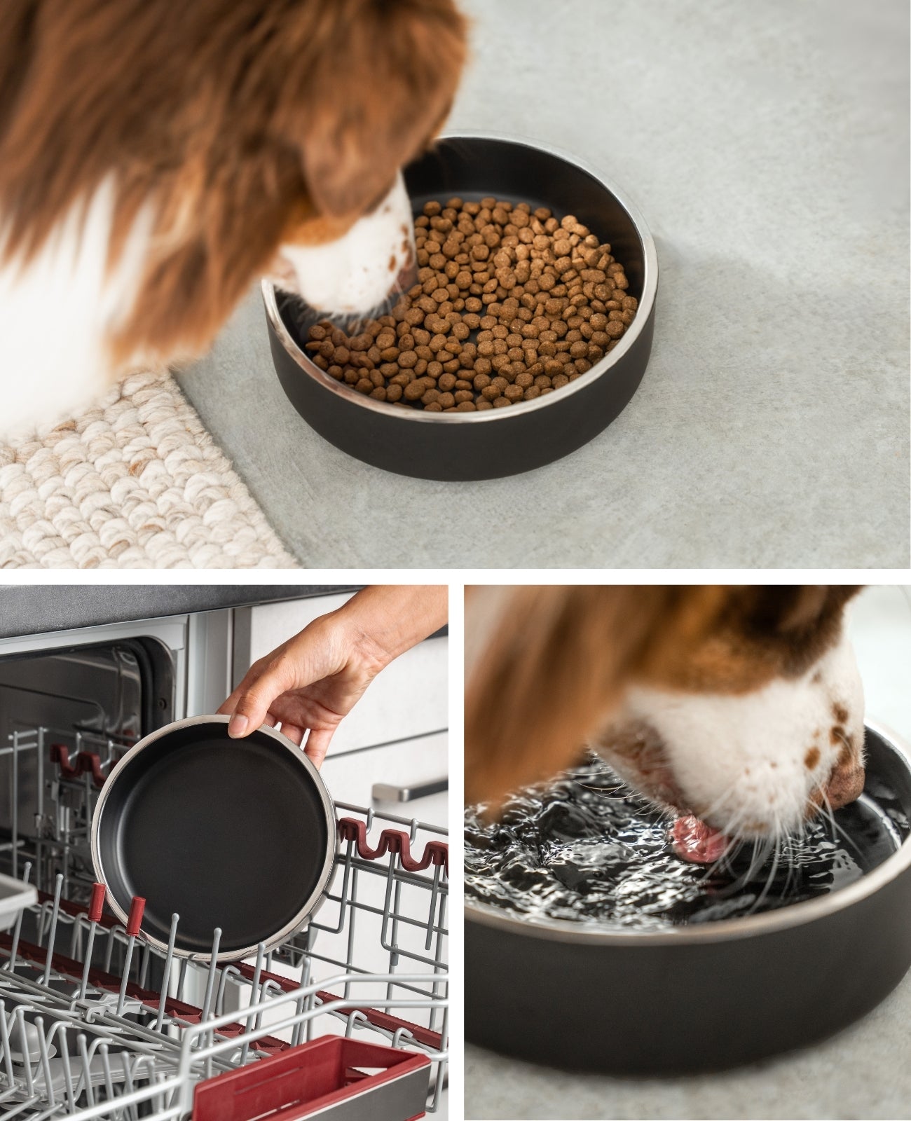 Lionto Hundenäpfe ciotola cane acciaio inox 825 ml antiscivolo nera