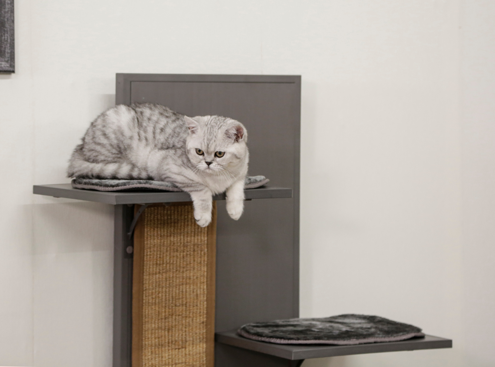 Kerbl Cat Scratch Play House Alex Tiragraffi Casetta 2 Cuccette