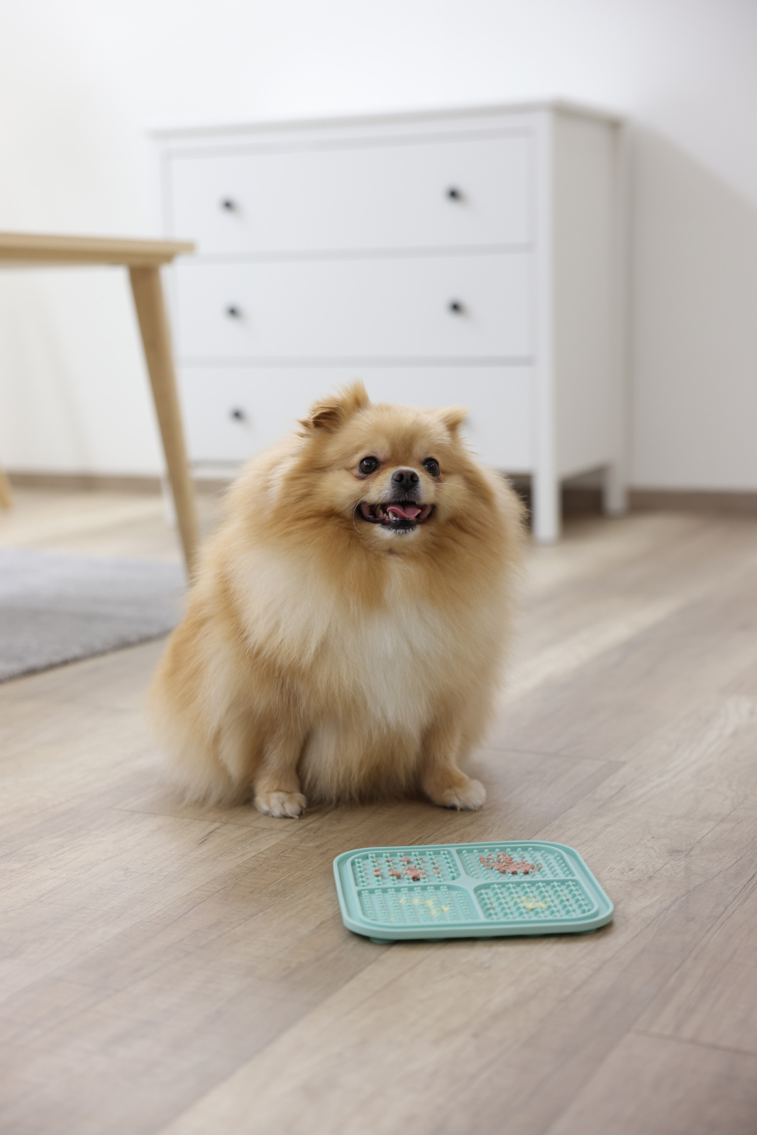 Kerbl Pet Lick Mat tappetino cane silicone ventose
