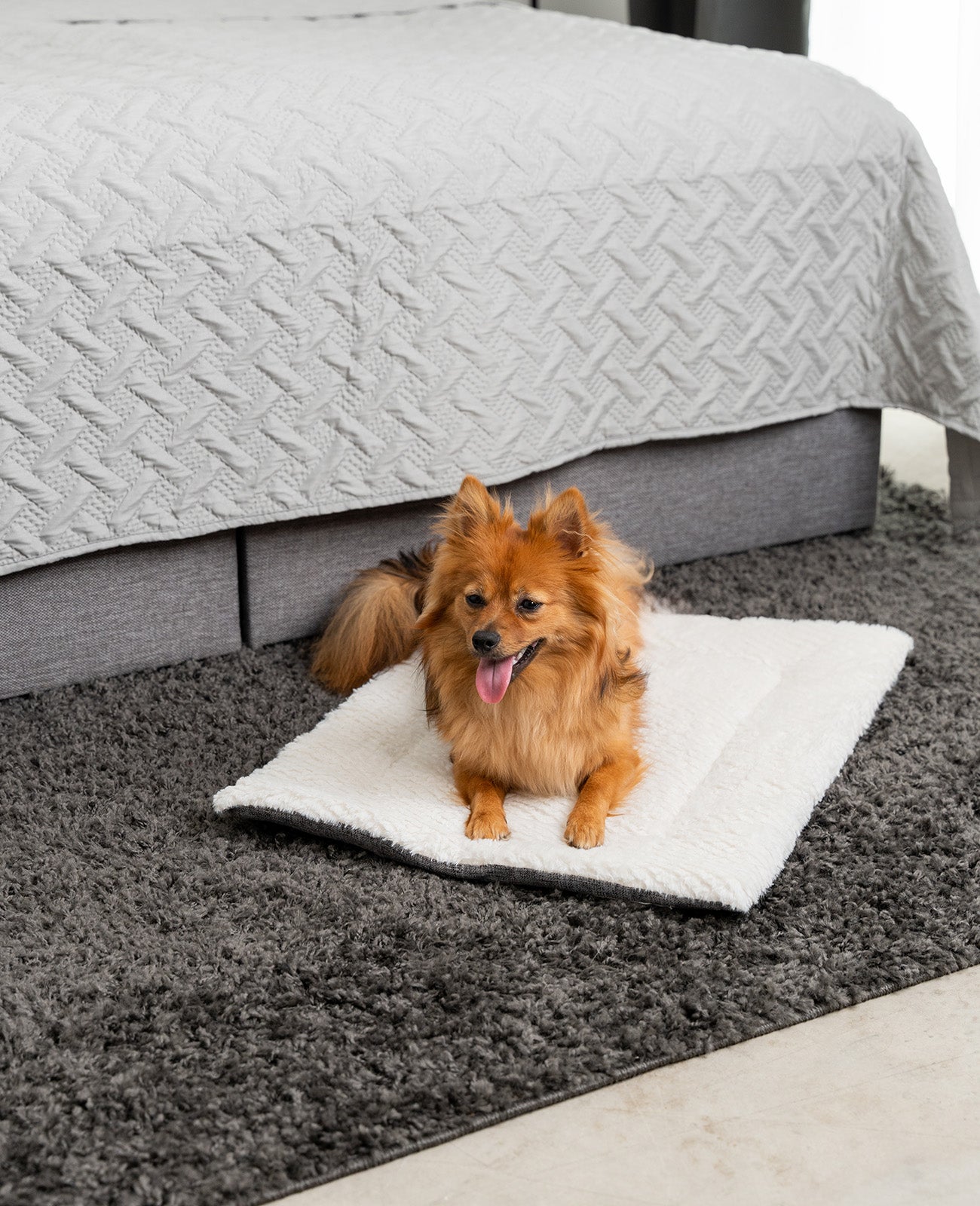 Lionto Hundebetten coperta cane double face 50x35 cm